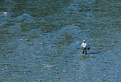 Hidakagawa Fishing