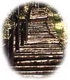 Wooden stairs