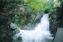 鷲の川大滝